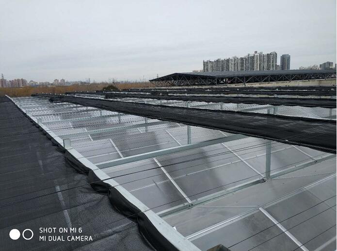 電動遮陽網推薦